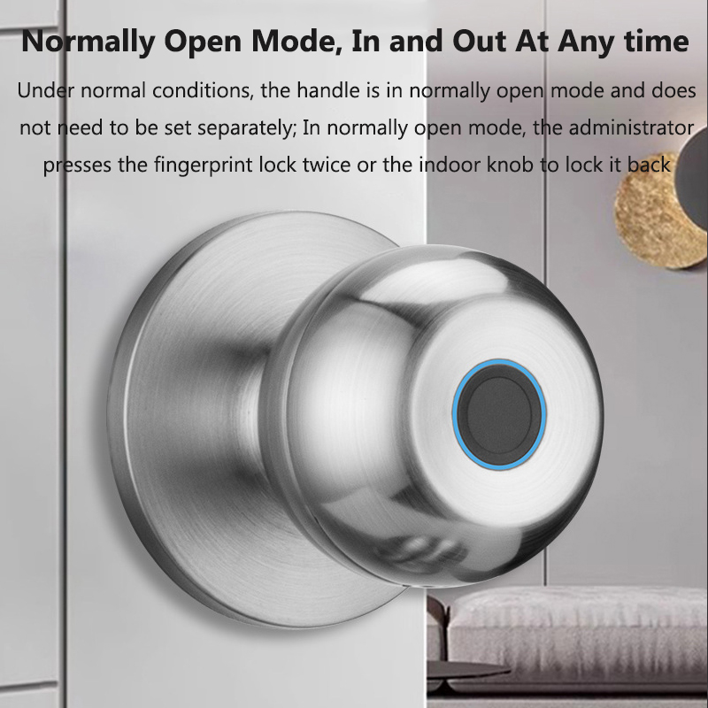Tuya Door Lock Smart Fingerpri – Door Lock Smart Keypad recenzja i cena